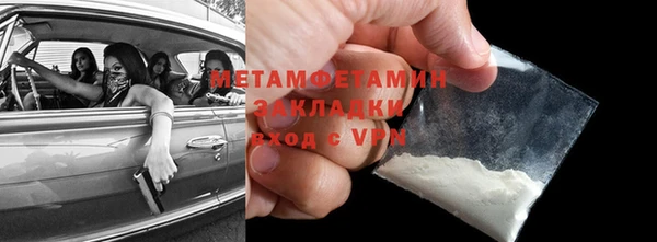 шишки Заволжск