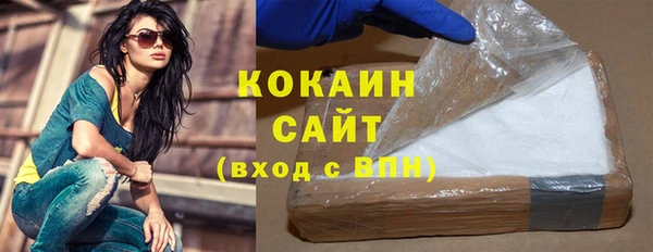 соль ск Ельня