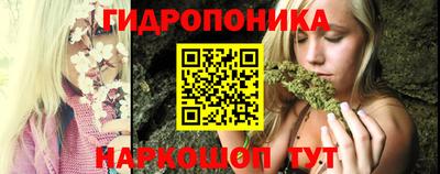 трава Бийск