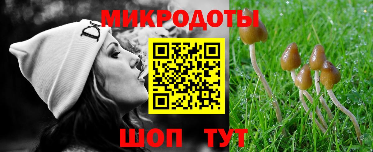 Псилоцибиновые грибы ЛСД Дмитров