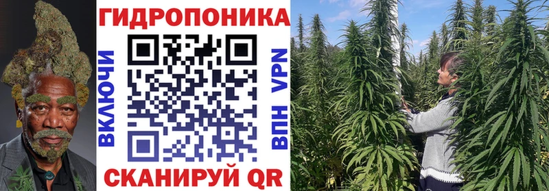 Бошки марихуана тримм  omg tor  Дмитров 