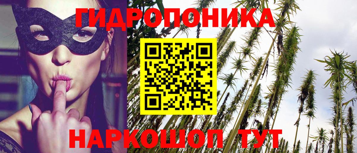 Бошки марихуана MAZAR  Бошки марихуана Bruce Banner  Каннабис VHQ  Дмитров  Вход с VPN 